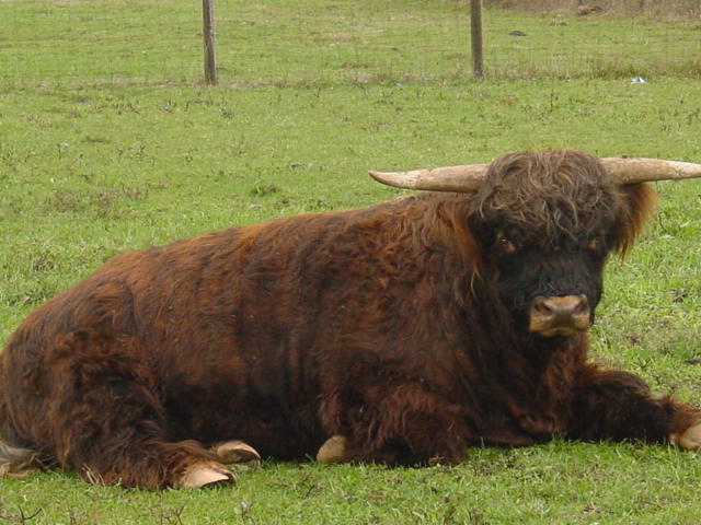 DSC00036